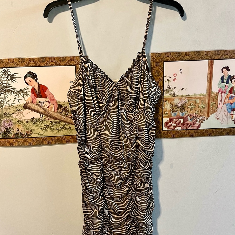 H&M Zebra Print Mini Dress